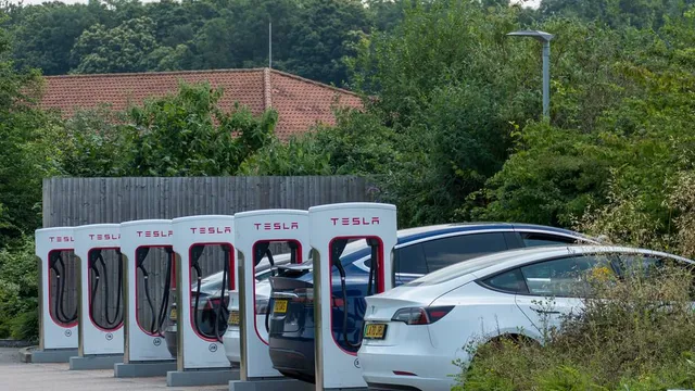 Catatan dari pemesanan sampai Tesla Model Y L saya diterima